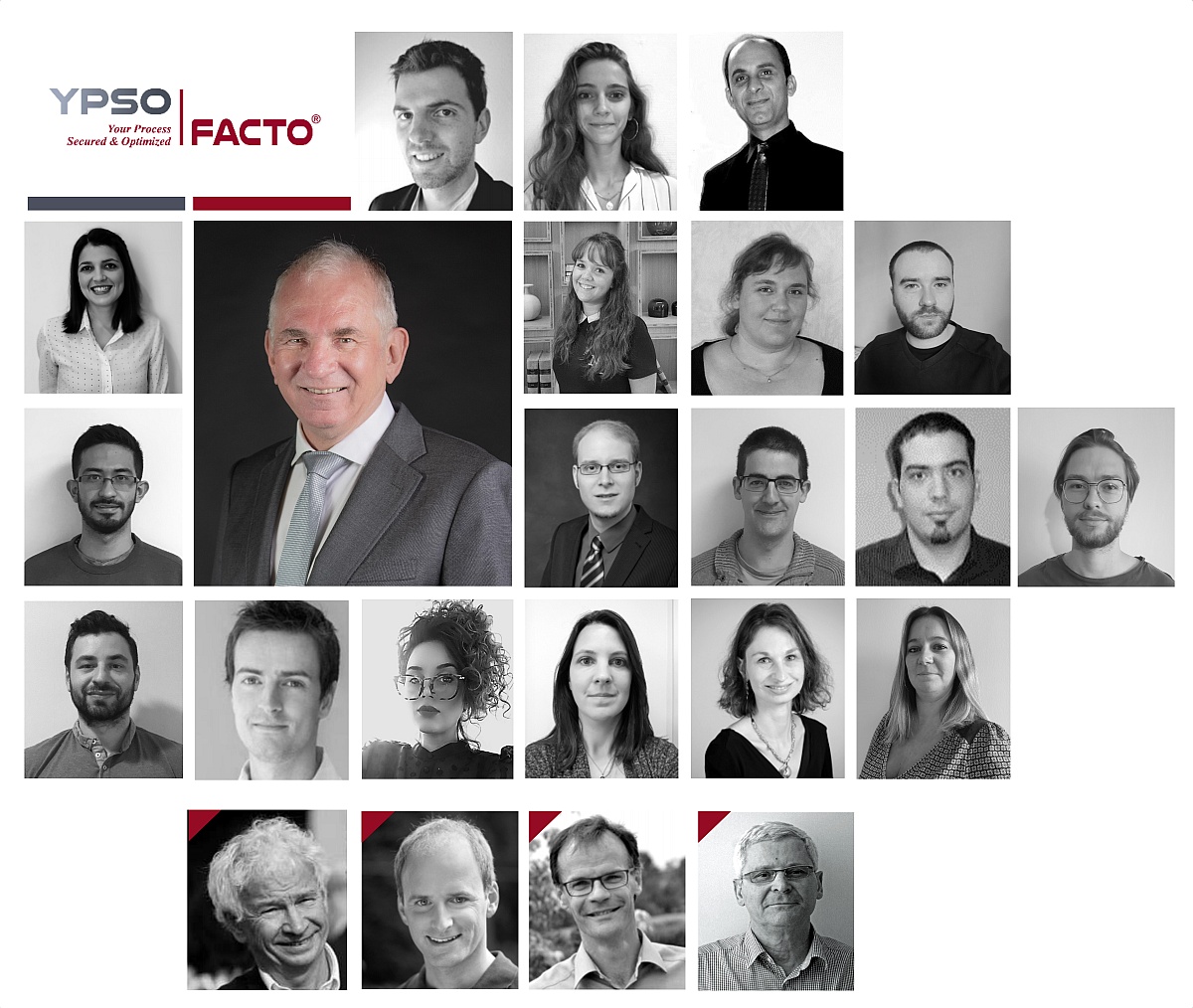 Ypso-Facto: experts in biochemistry